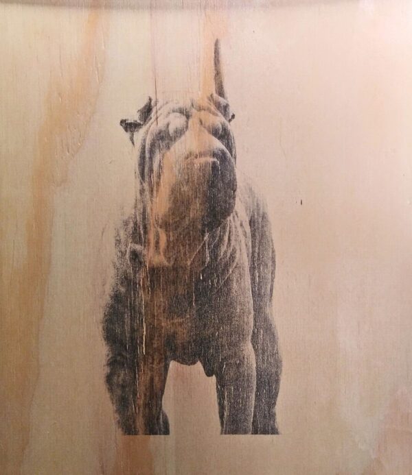Mesa shar pei - Imagen 3