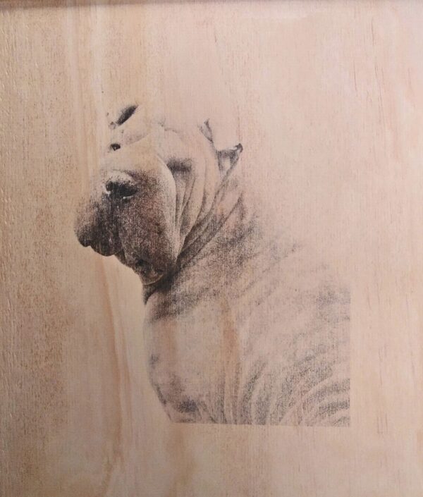 Mesa shar pei - Imagen 5