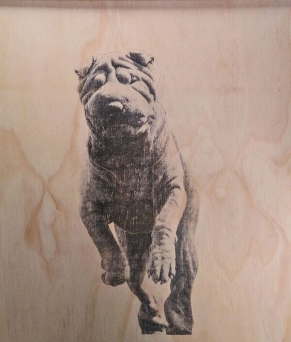 Mesa shar pei - Imagen 4
